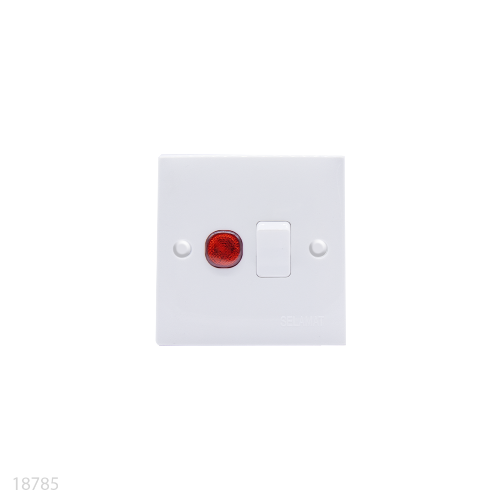 Switch Double Pole 20amp MS-102L