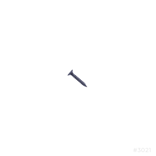 [3021] Dry Wall Screw #8x1"